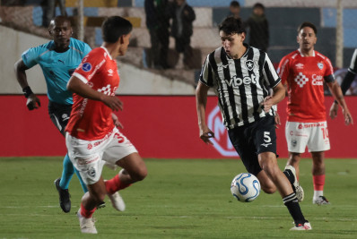 Ferraresi pede desculpa à torcida do Botafogo após derrota de goleada