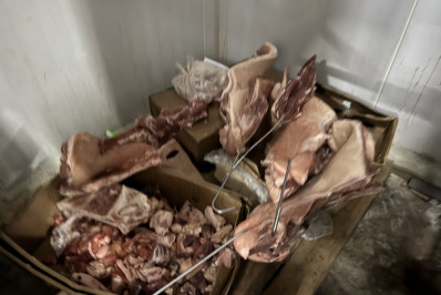 Quase uma tonelada de alimentos impróprios é apreendida em Caxias