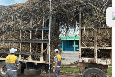 Transporte de cana em São Francisco é disciplinado