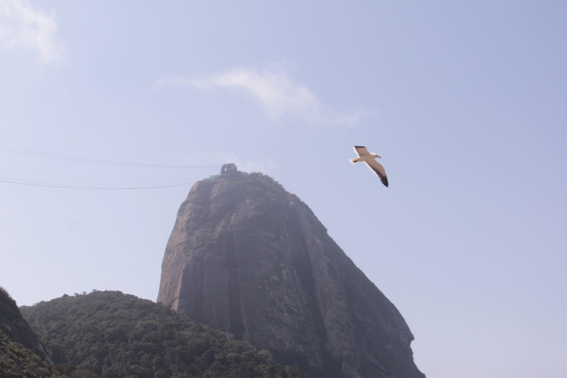 Praia Vermelha, na Zona Sul do Rio, nesta sexta-feira (14), com céu parcialmente nublado - Carlos Elias Junior / Agência O DIA
