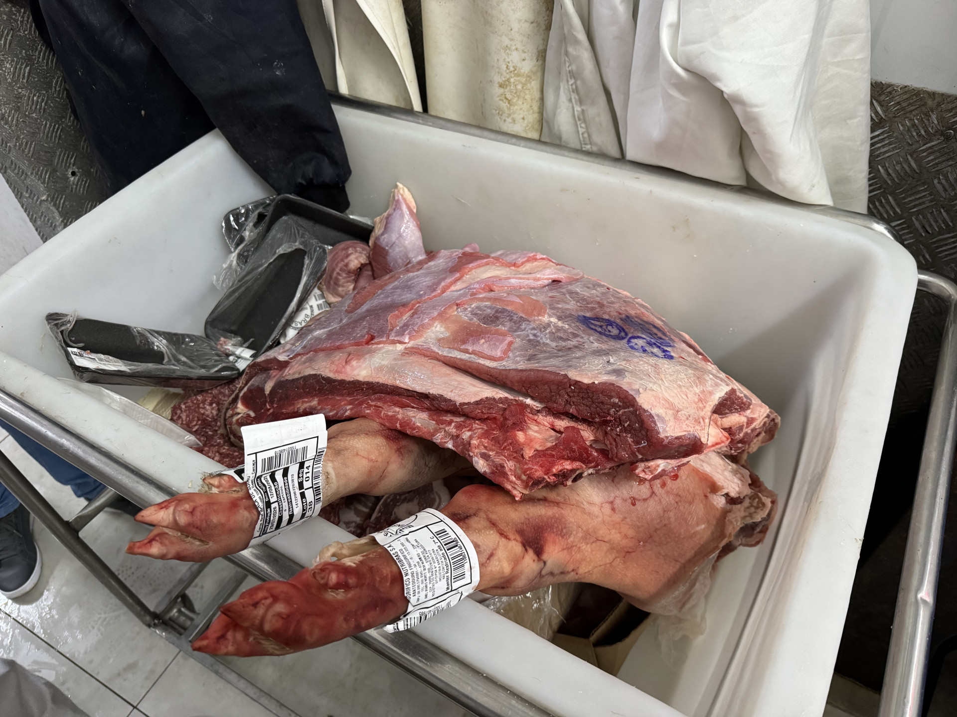 Carne armazenada de forma inadequada foi encontrada durante a fiscalização. - Divulgação/Sedcon