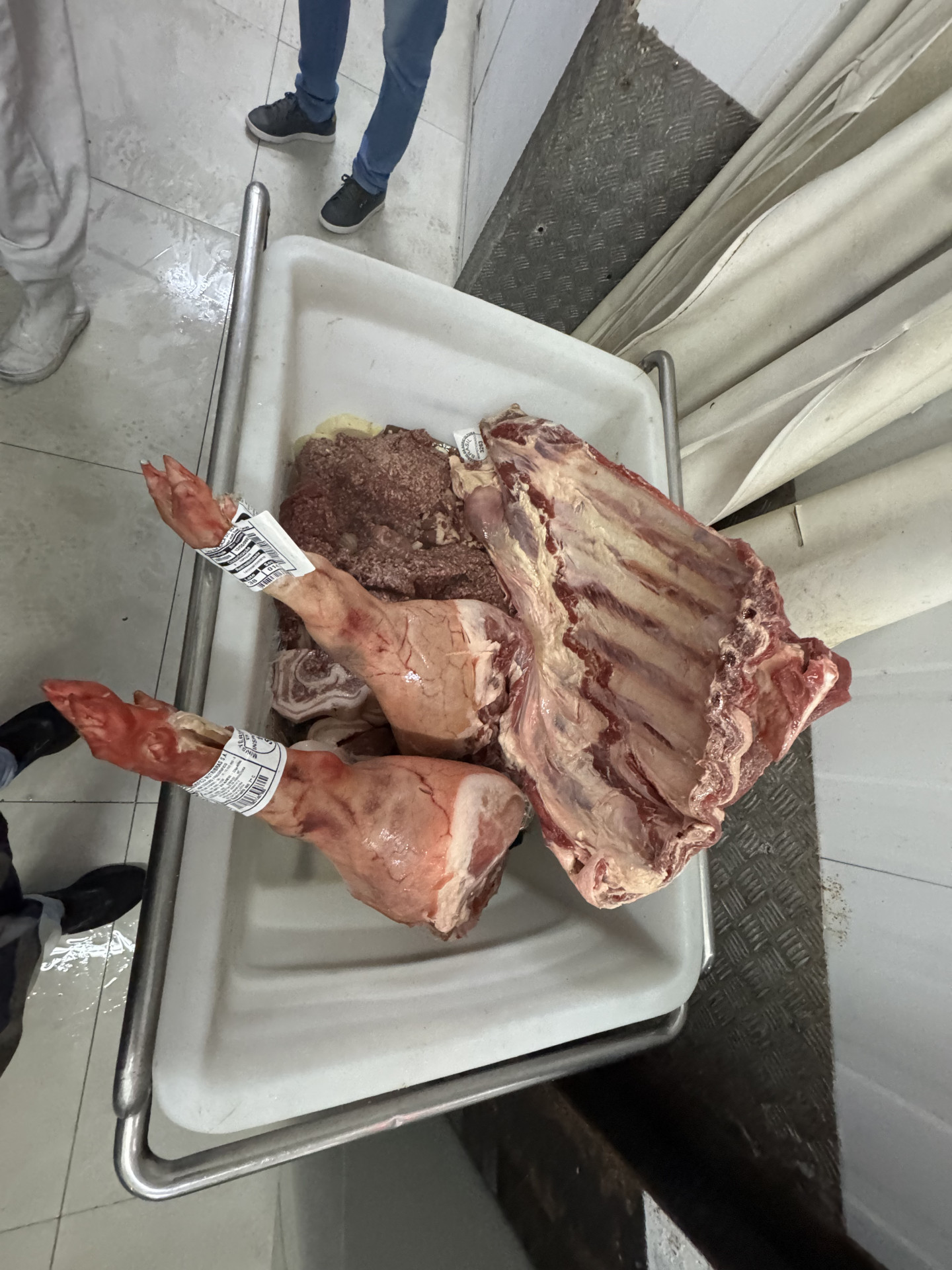 Carne armazenada de forma inadequada foi encontrada durante a fiscalização. - Divulgação/Sedcon