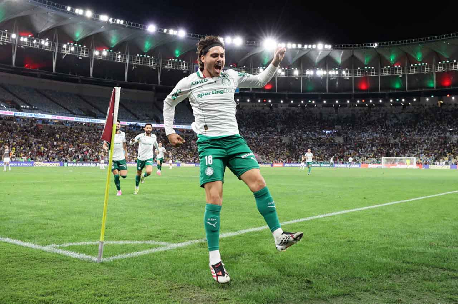 Fluminense x Palmeiras - Campeonato brasileiro -  Cesar Greco/Palmeiras
