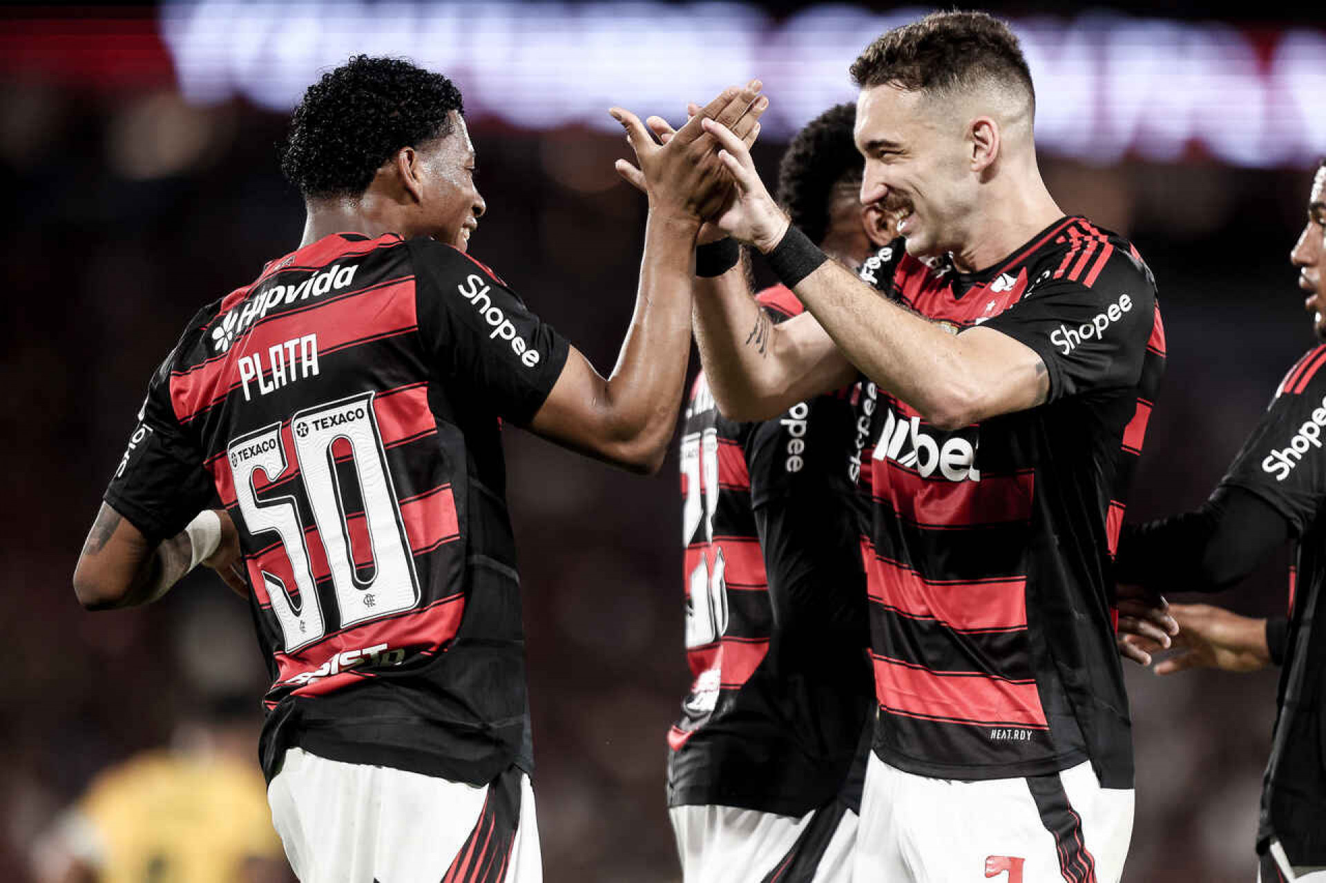 Flamengo vai para terceiro duelo contra o Mirassol; o retrospecto