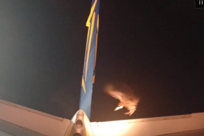 Abutre é retirado da asa de avião antes de voo na Grécia