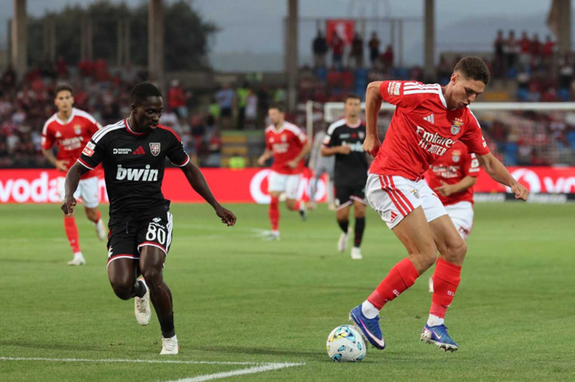 Casa Pia x Benfica - Liga Portugal - Divulga&ccedil;&atilde;o