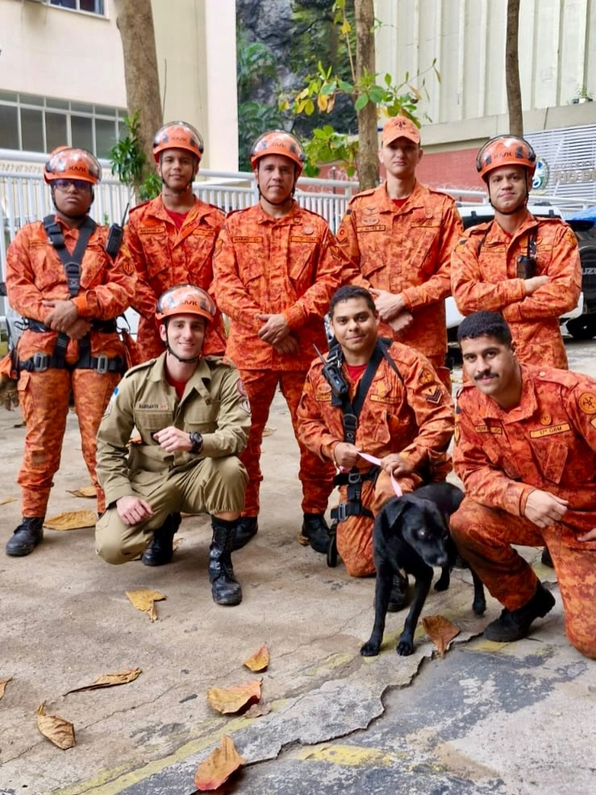 Bombeiros resgataram cão em área de difícil acesso com rapel na Zona Sul - Reprodução / Instagram