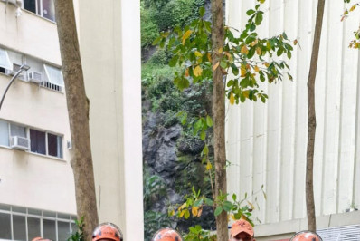 Bombeiros realizaram mais de 18 mil resgates de animais neste ano