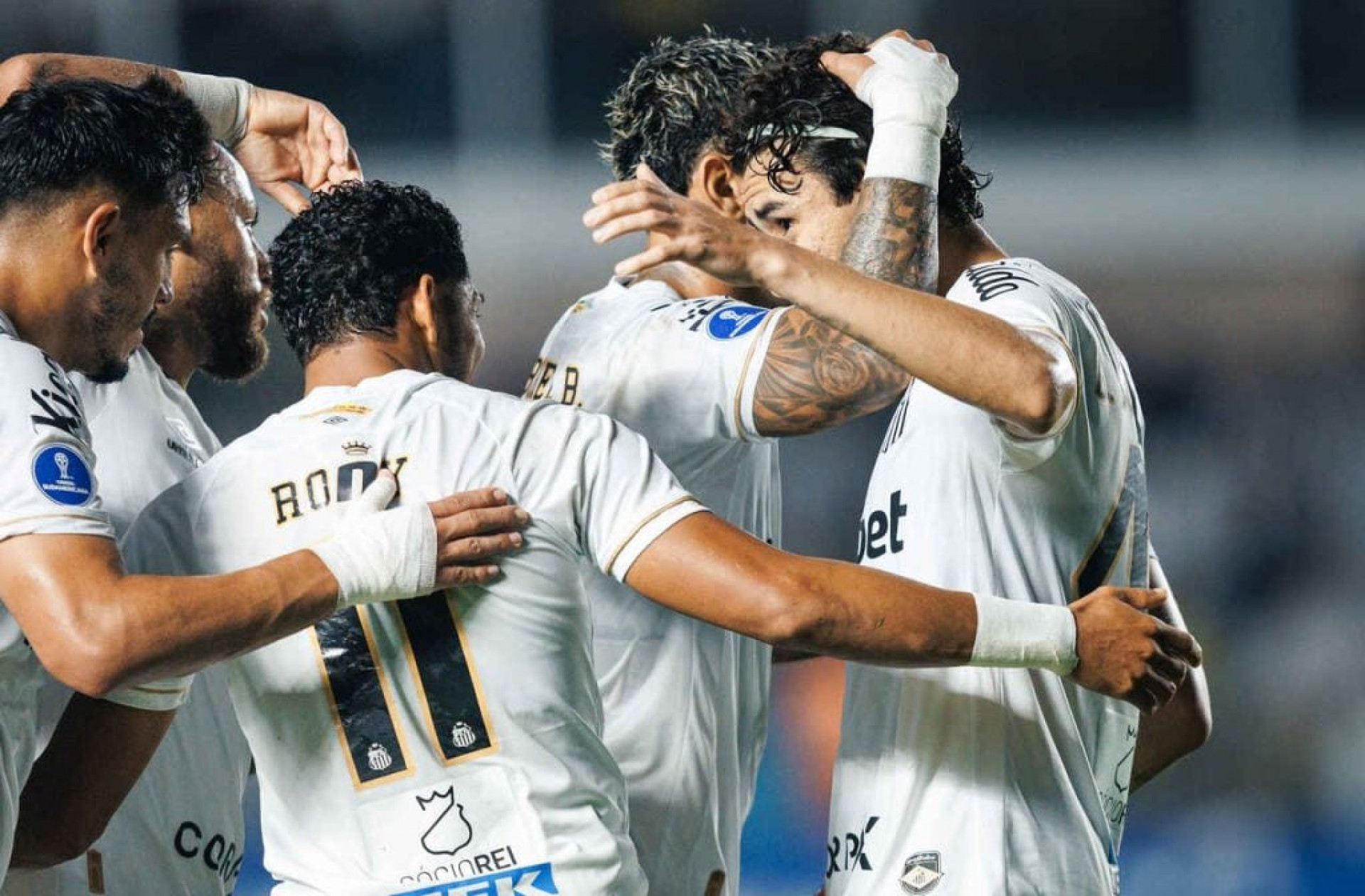 Santos busca feito in&eacute;dito no ano e vaga nas quartas da Sul-Americana