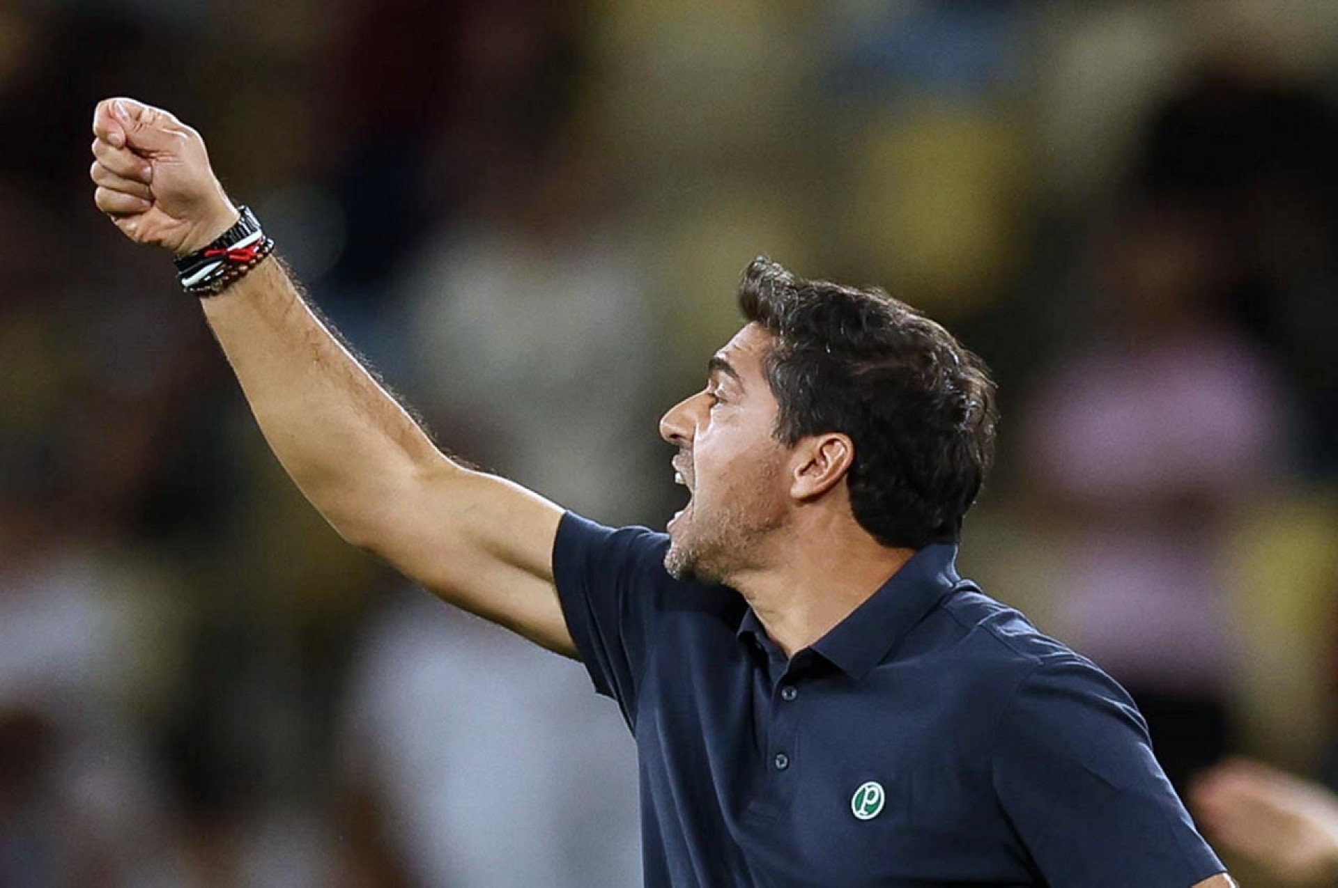 Palmeiras tenta encerrar seca e evitar pior Libertadores com Abel