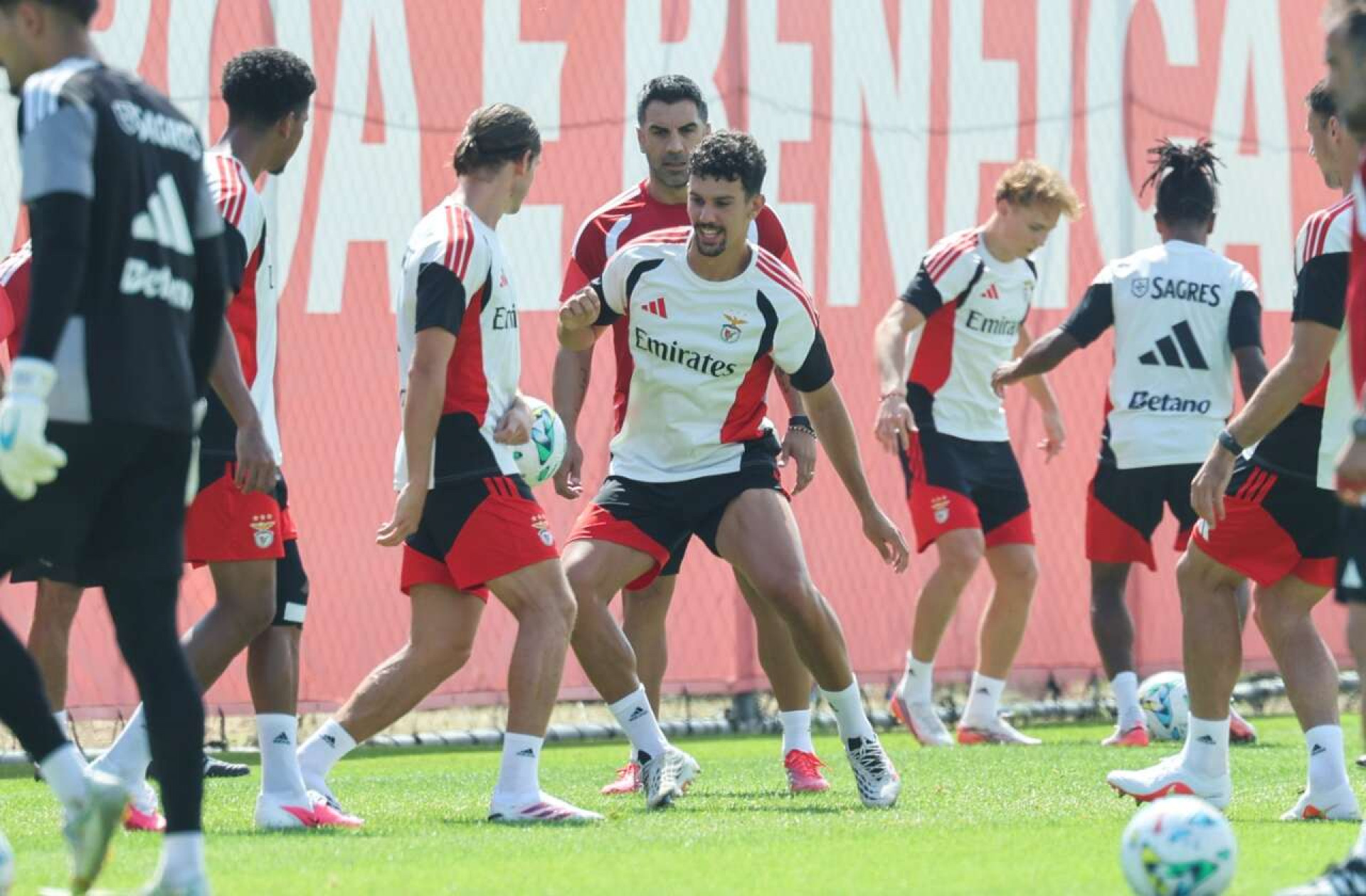 Benfica x Aarhus: onde assistir, escala&ccedil;&otilde;es e arbitragem