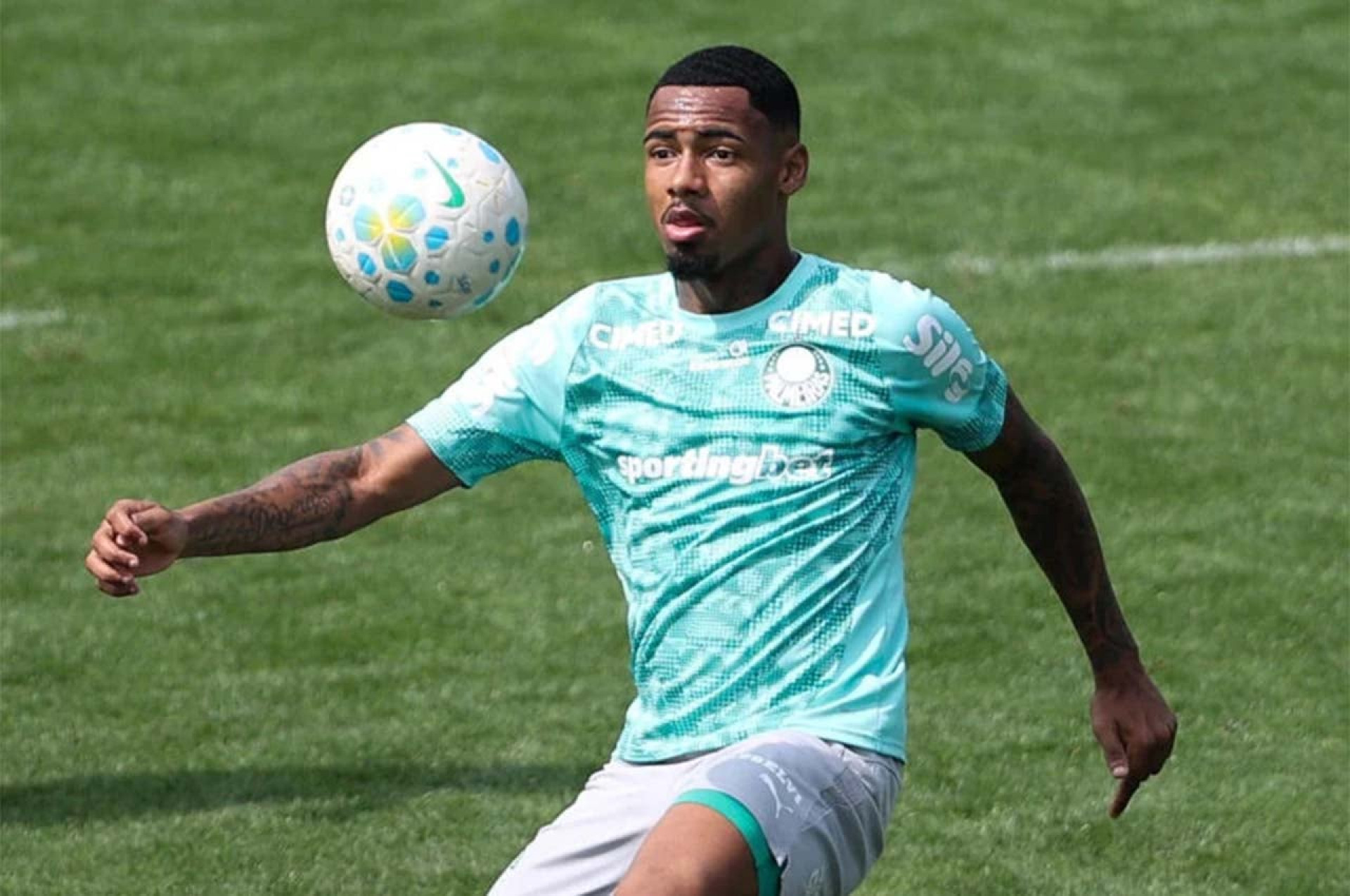 Manchester City demonstra interesse em Allan, atacante do Palmeiras
