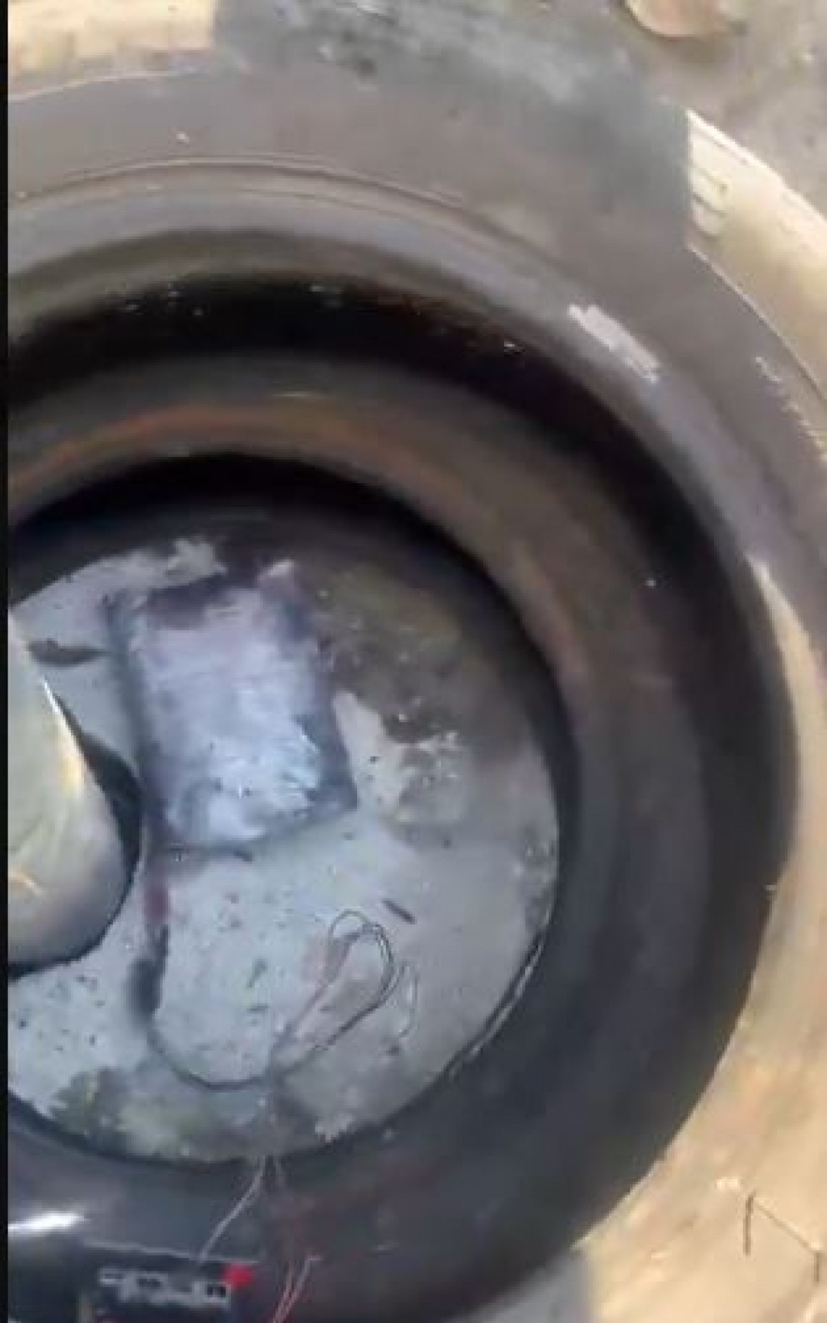 Explosivos encontrados em barricadas no Complexo de Israel - Ana Fernanda Freire