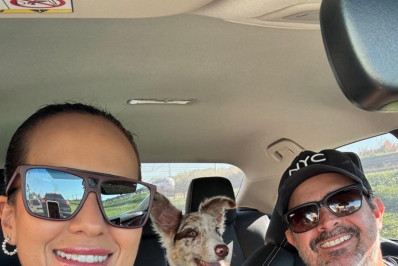 Saiba preparar a casa e a rotina para a chegada do pet