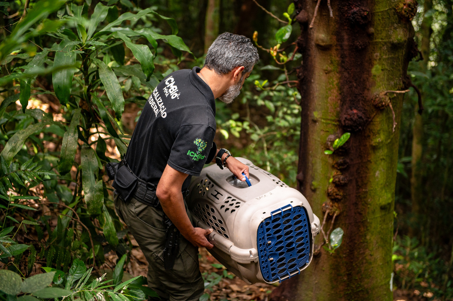 Animais silvestres são devolvidos à natureza após recuperação - Luciana Sposito / ICMBio 