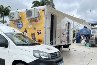 Bem-Estar Animal levará cuidados gratuitos para cães e gatos
