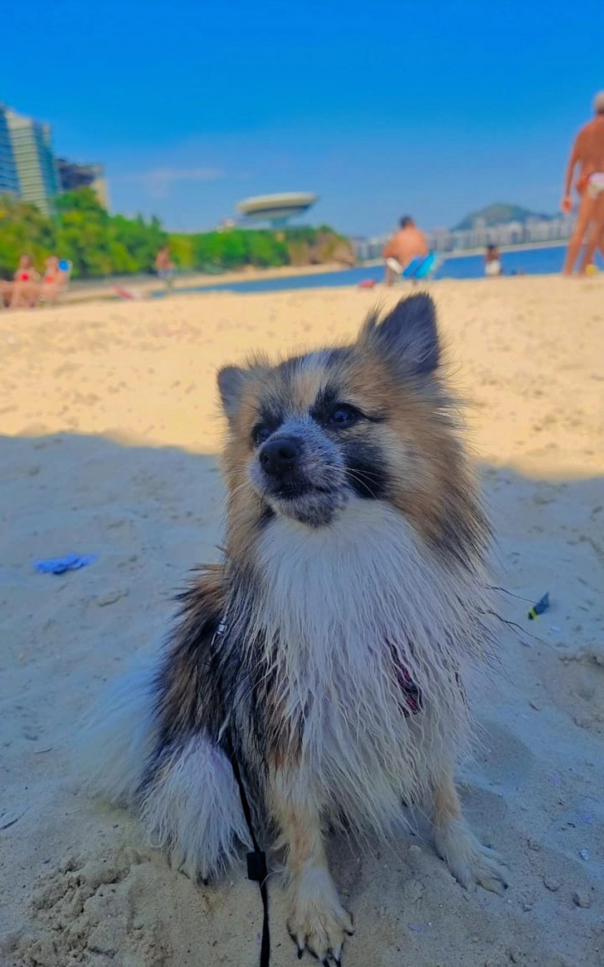 Zoe adora praia 
