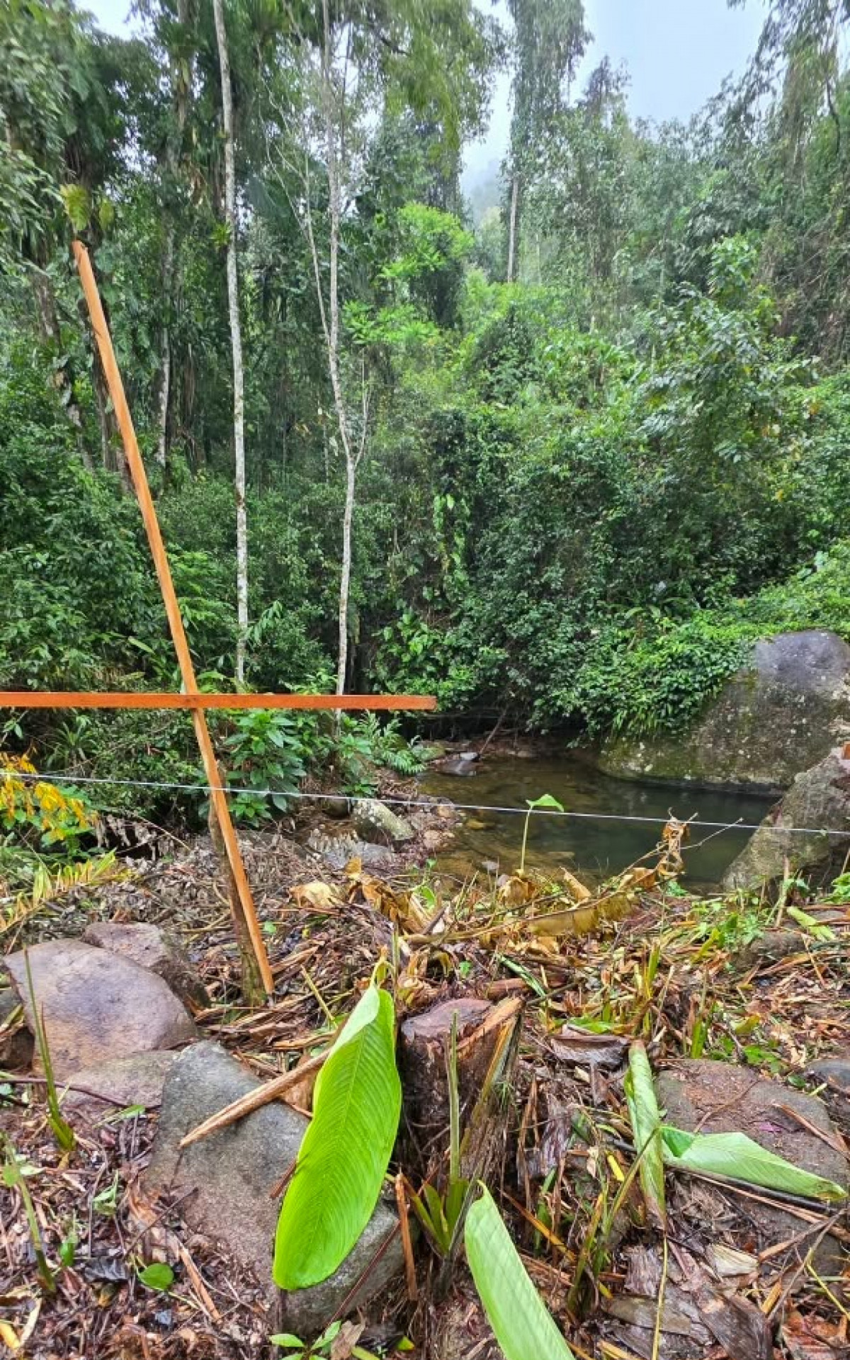 Área de preservação permanente Corumbê