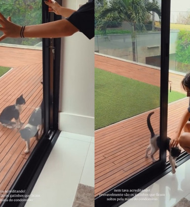 Jade Picon brinca após ter casa 'invadida' por gatos: 'É pra adotar?'