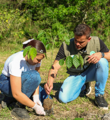 Inea promove ação de reflorestamento em fazenda em Cachoeiras de Macacu