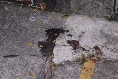 Vídeo! Cachorro é morto a tiros na Tijuca, Zona Norte