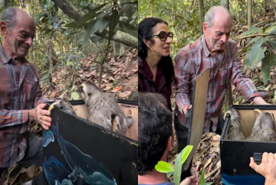 Ney Matogrosso recebe bicho-preguiça para soltura em sítio no Rio