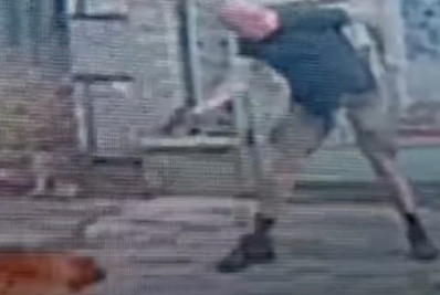 Cachorro é morto a tiros na Tijuca