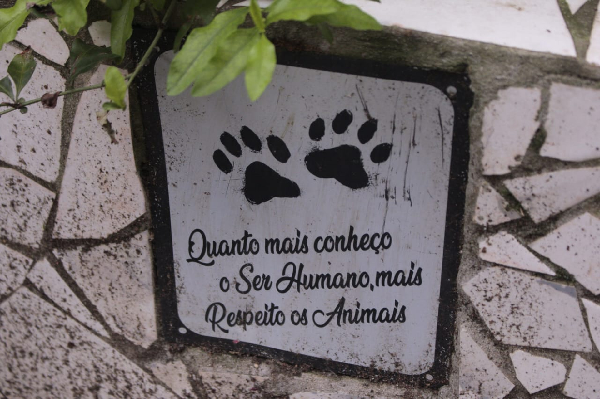 Mensagem na Rua Sab&oacute;ia Lima, na Tijuca, valoriza a vida de animais - Carlos Elias Junior / Ag&ecirc;ncia O Dia