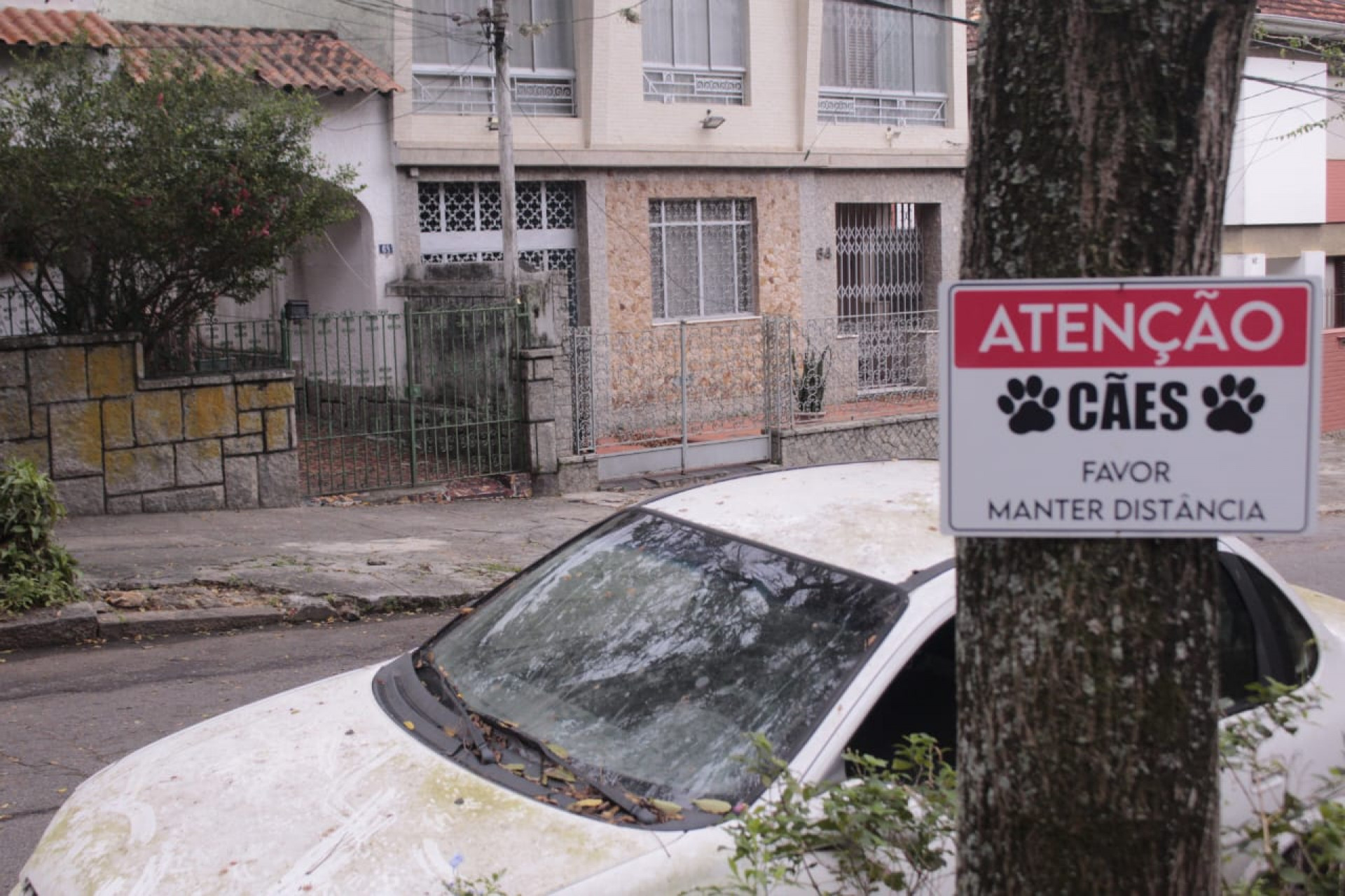 Placas alertam sobre presença de cães na Rua Sabóia Lima, onde cachorro foi morto a tiros - Carlos Elias Junior / Agência O Dia