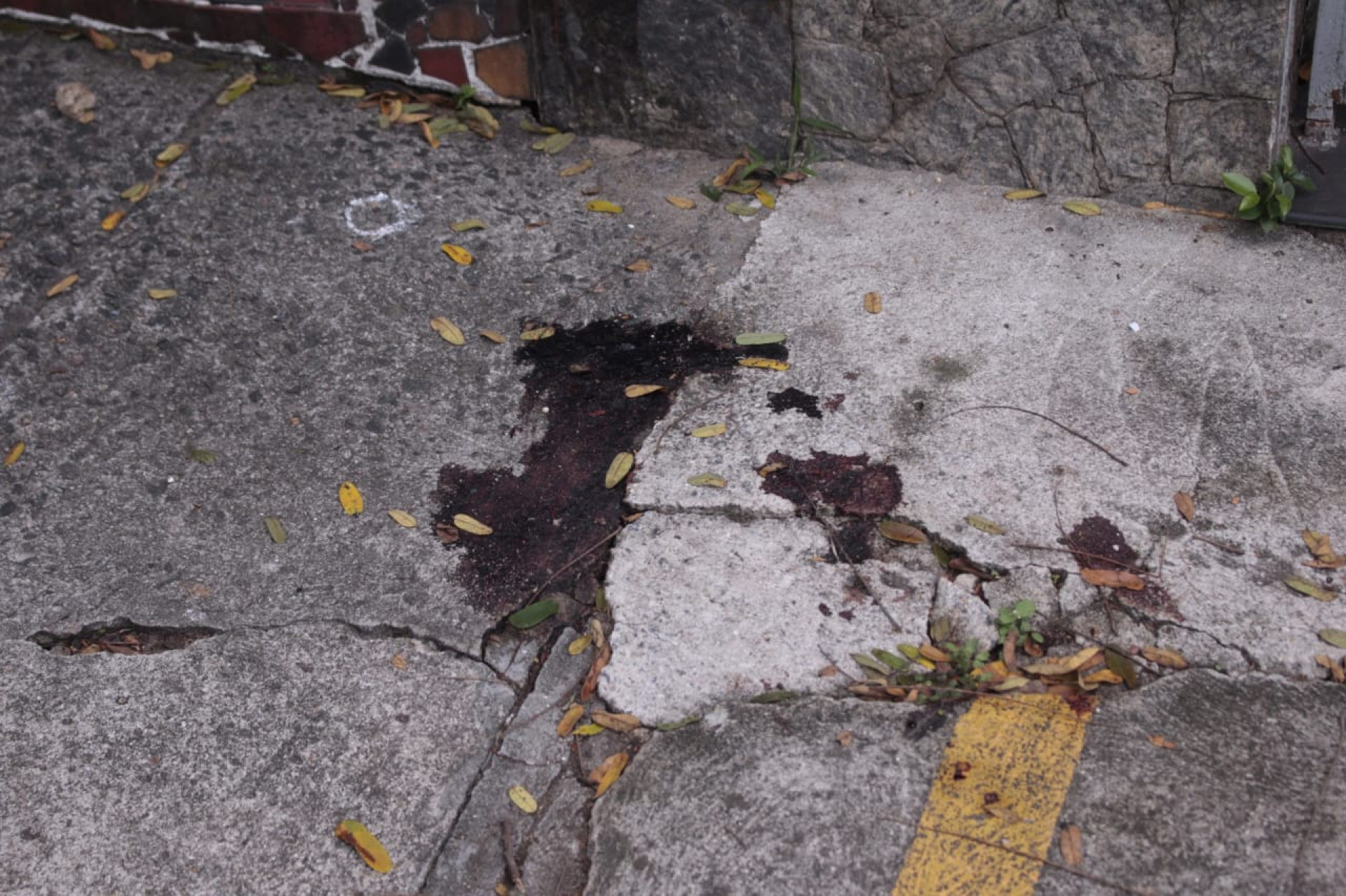 Marcas de sangue do cachorro Batata continuam na Rua Sab&oacute;ia Lima - Carlos Elias Junior / Ag&ecirc;ncia O Dia
