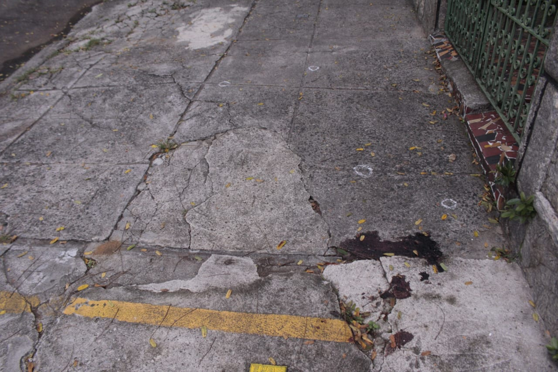 Marcas de sangue do cachorro Batata continuam na Rua Sab&oacute;ia Lima - Carlos Elias Junior / Ag&ecirc;ncia O Dia