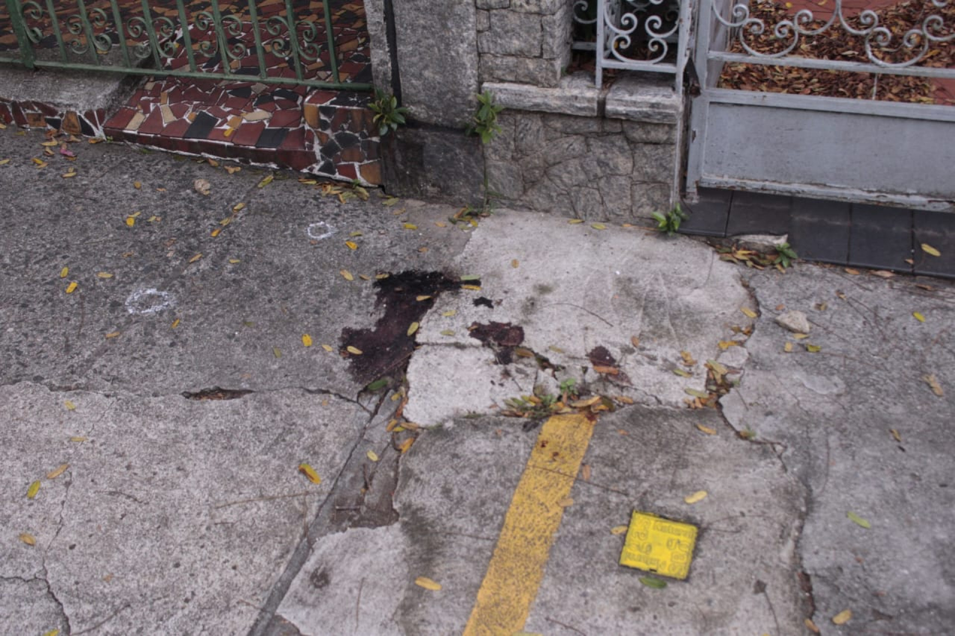 Marcas de sangue do cachorro Batata continuam na Rua Sab&oacute;ia Lima - Carlos Elias Junior / Ag&ecirc;ncia O Dia