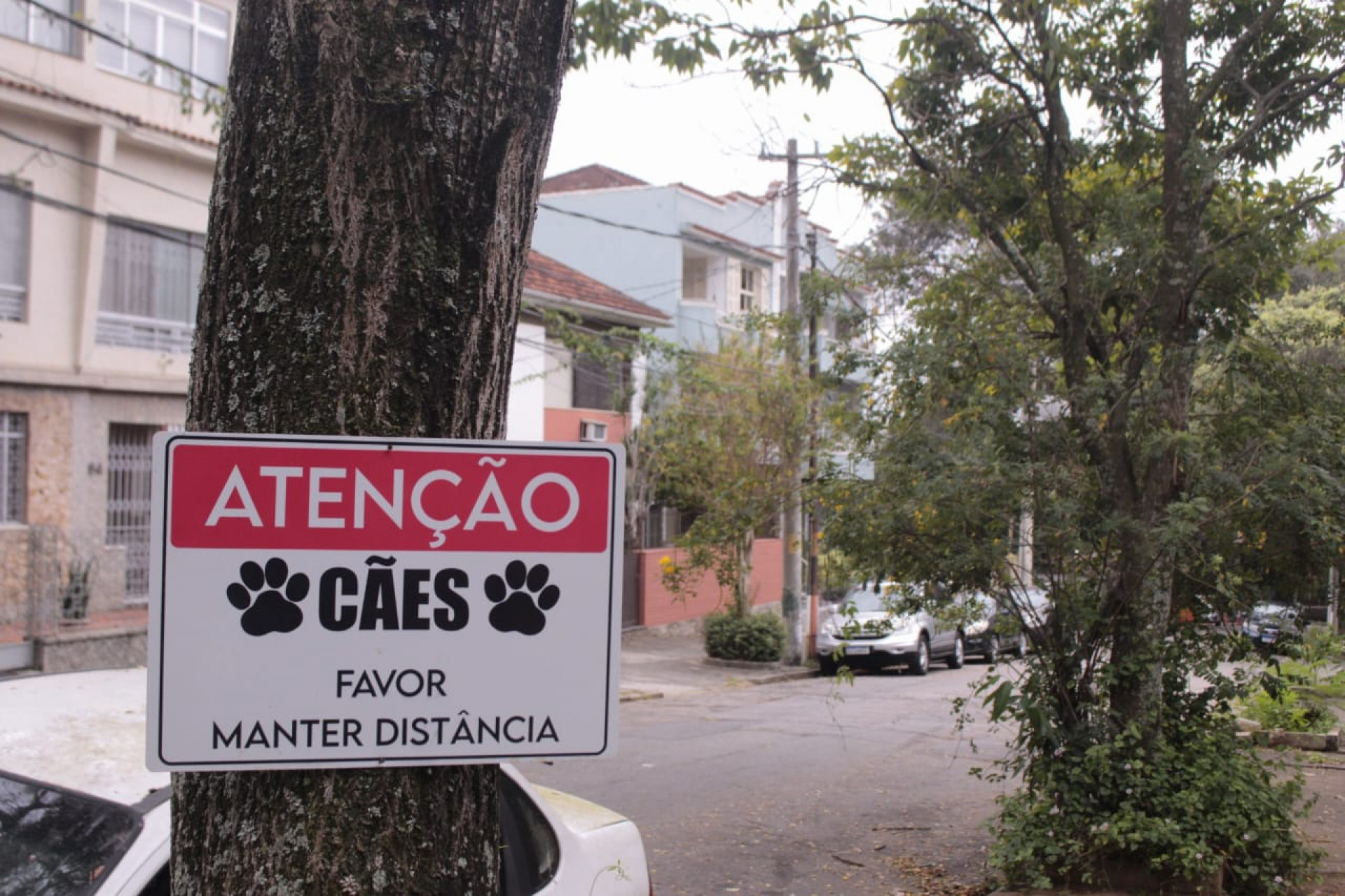 Placa alerta sobre presen&ccedil;a de c&atilde;es na Rua Sab&oacute;ia Lima, onde cachorro foi morto a tiros - Carlos Elias Junior / Ag&ecirc;ncia O Dia