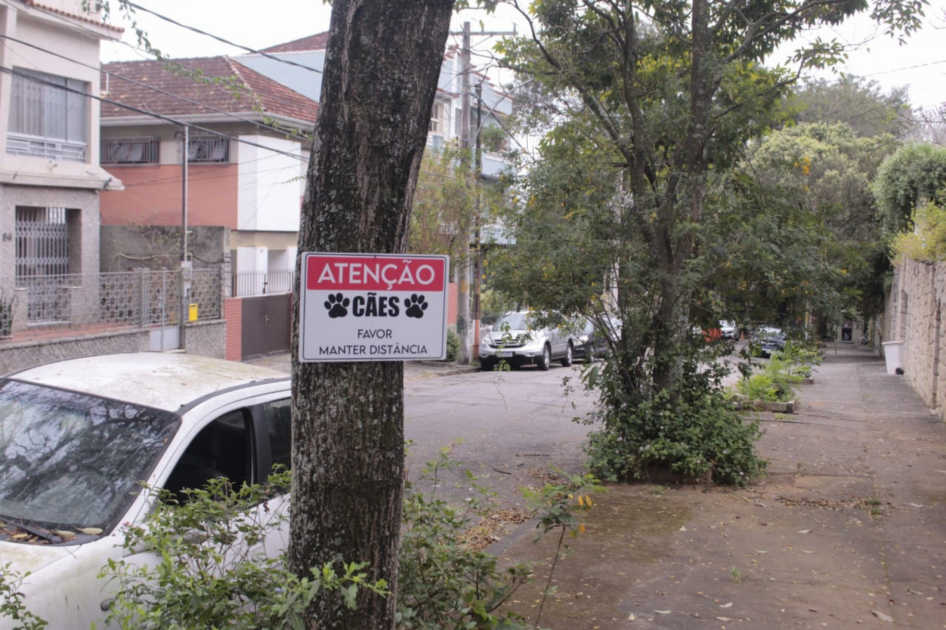 Placa alerta sobre presen&ccedil;a de c&atilde;es na Rua Sab&oacute;ia Lima, onde cachorro foi morto a tiros - Carlos Elias Junior / Ag&ecirc;ncia O Dia