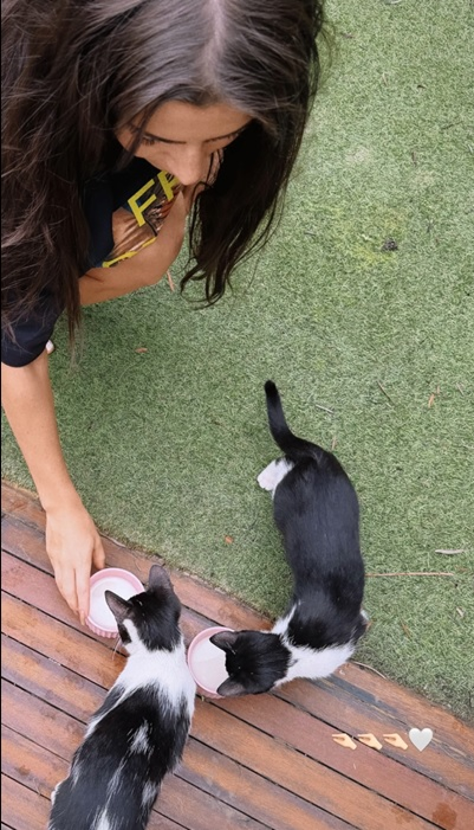 Dois gatos apareceram na porta do quarto de Jade Picon - Reprodução/Instagram 