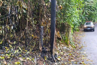 Polícia Ambiental constata desmatamento e queimada em área de preservação, em Angra