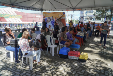 Itaboraí realizou cerca de 400 castrações gratuitas de cães e gatos para moradores da cidade