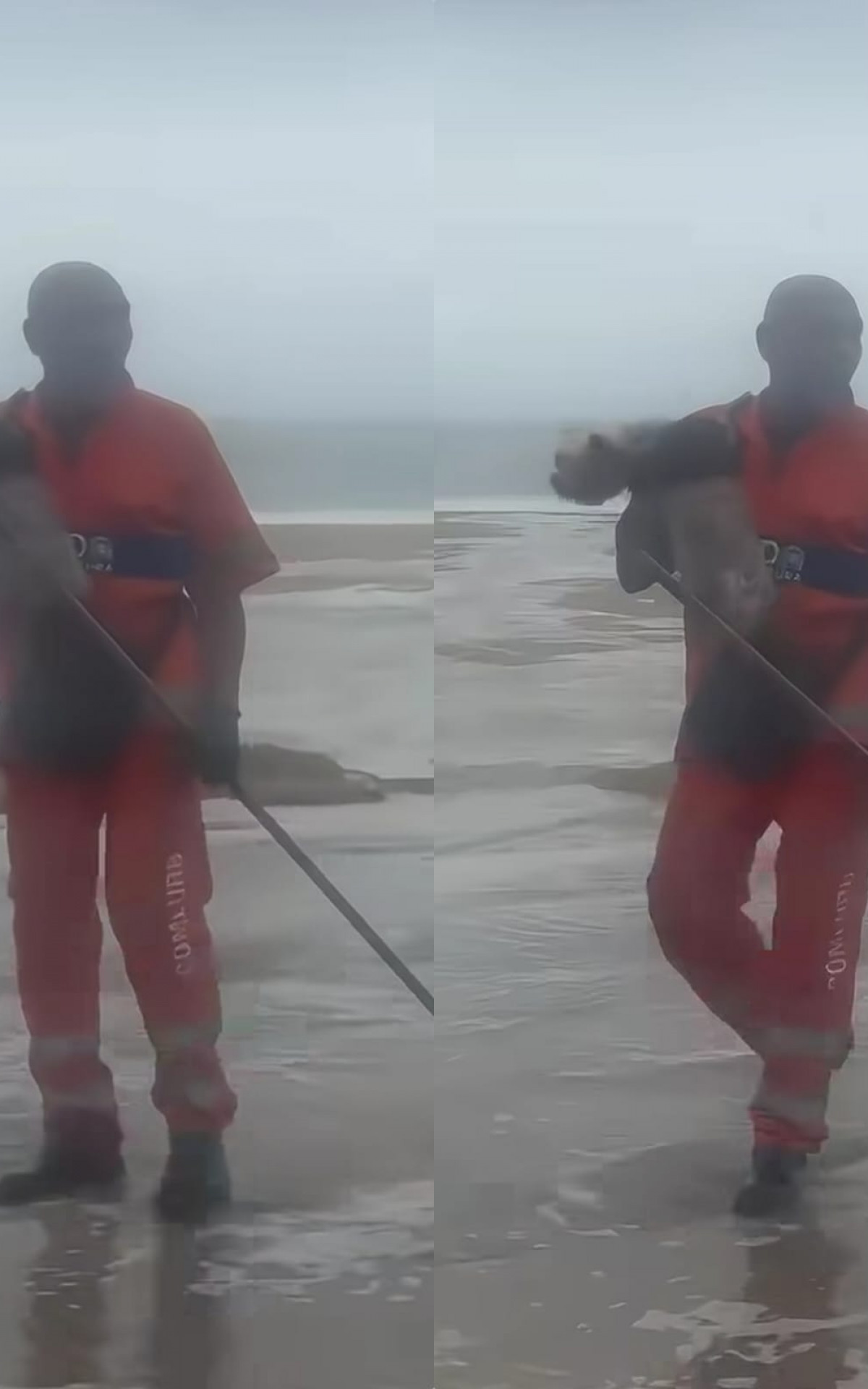 Gari salvou cachorro que foi levado pelo mar durante ressaca em Copacabana - Reprodução de vídeo