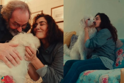 Vídeo: Letícia Sabatella recupera cachorro e mostra reencontro