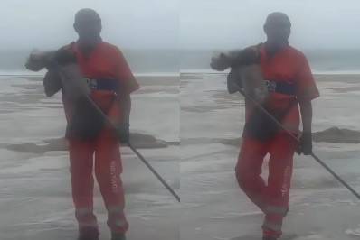 Vídeo: Gari salva cachorro levado pelo mar durante ressaca em Copacabana