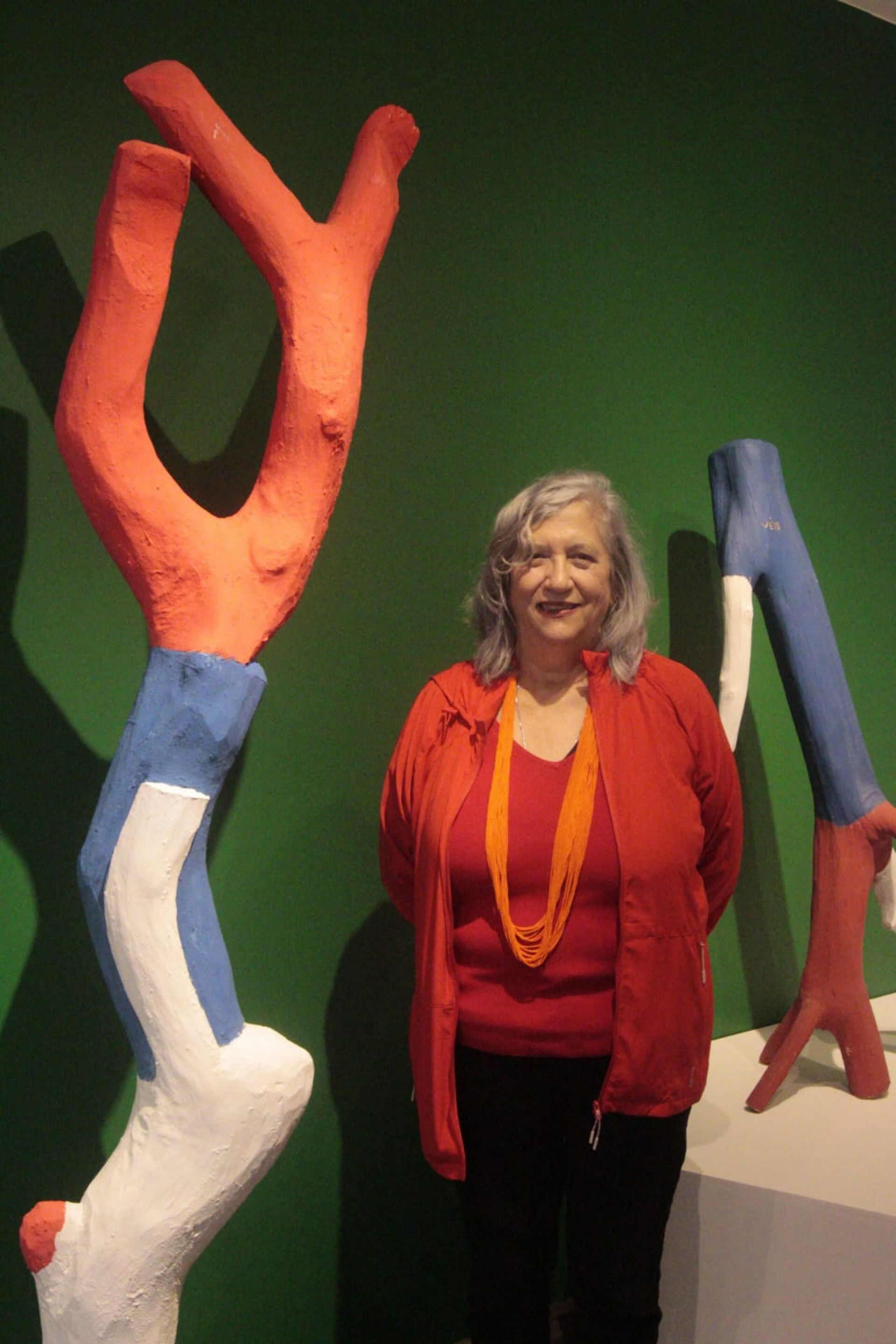 Angela Mascelani, diretora e curadora do Museu do Pontal - Carlos Elias Junior/ Agência O Dia