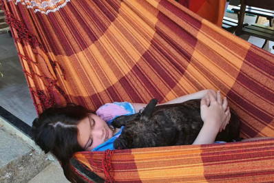 O luto invisível de quem perde um pet