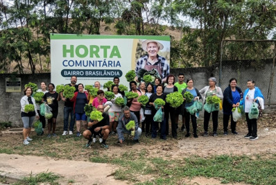Horta comunitária do bairro Brasilândia realiza primeira colheita em Volta Redonda