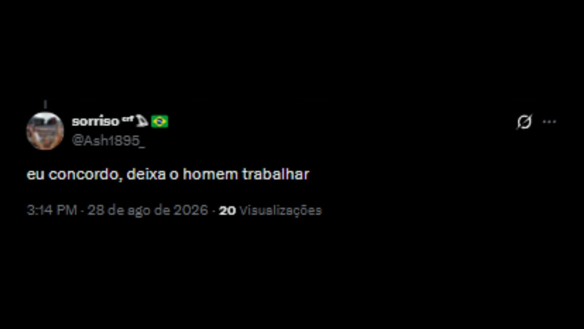 Torcedores repercutindo fala de cantor sobre Abel Ferreira - Reprodução/ X @Ash1895_