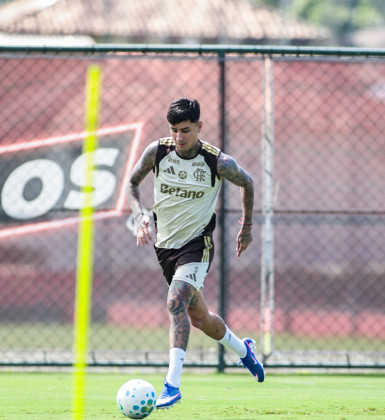 Flamengo acerta renovação de Erick Pulgar até o fim de 2029