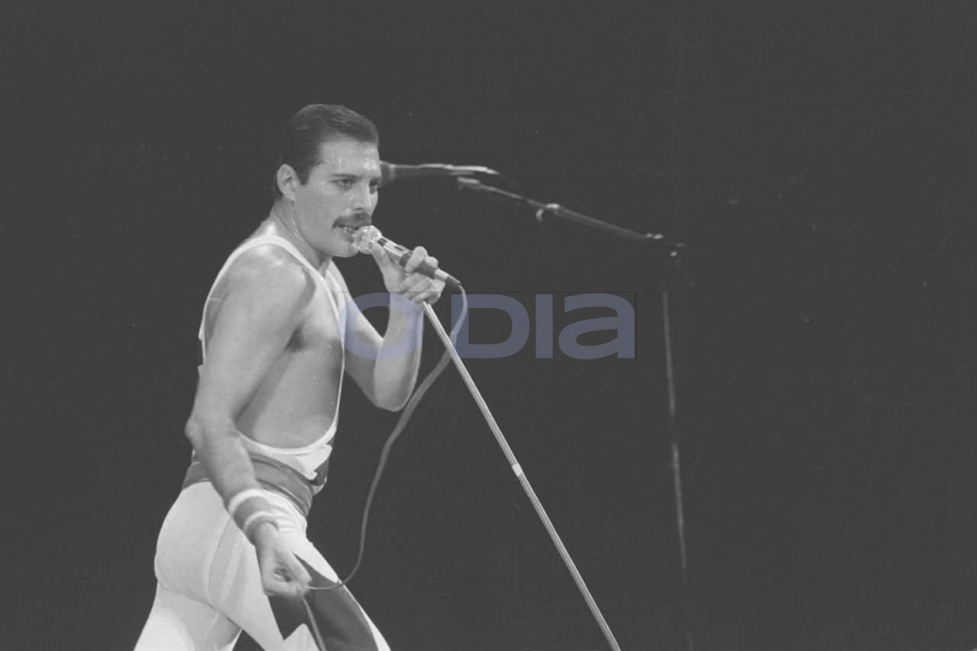 Em 85, Freddie Mercury regeu uma multid&atilde;o na Antiga Cidade do Rock - Juscelino / Arquivo O DIA