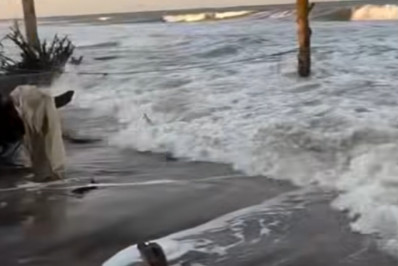 Mar 