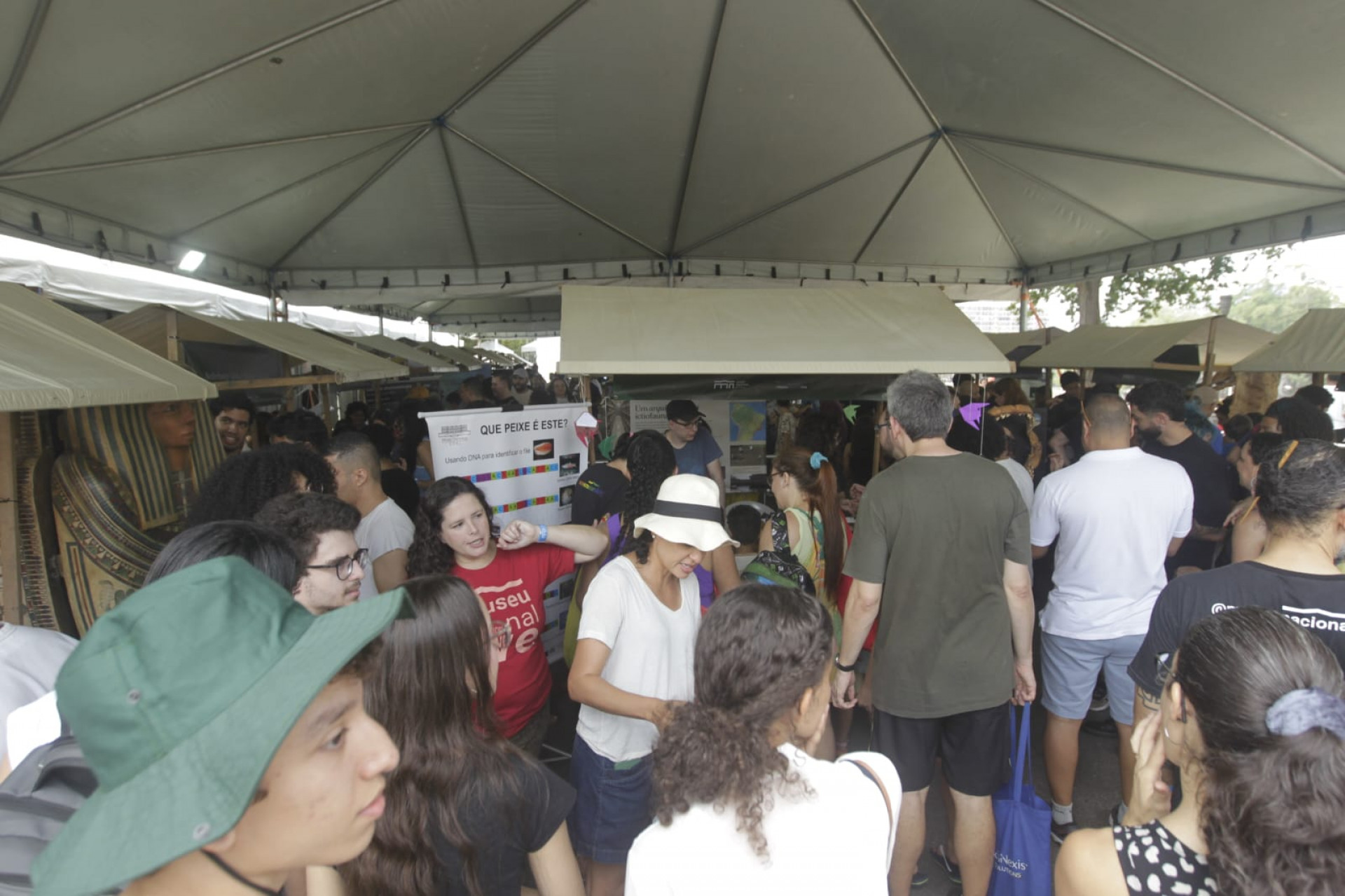 Público pôde interagir com objetos de pesquisa durante festival do Museu Nacional - Reginaldo Pimenta / Agência O Dia