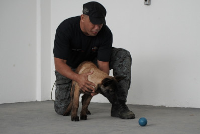 Nova Companhia do Batalhão de Ações com Cães, em Volta Redonda, já atua no combate à criminalidade no Sul do Estado