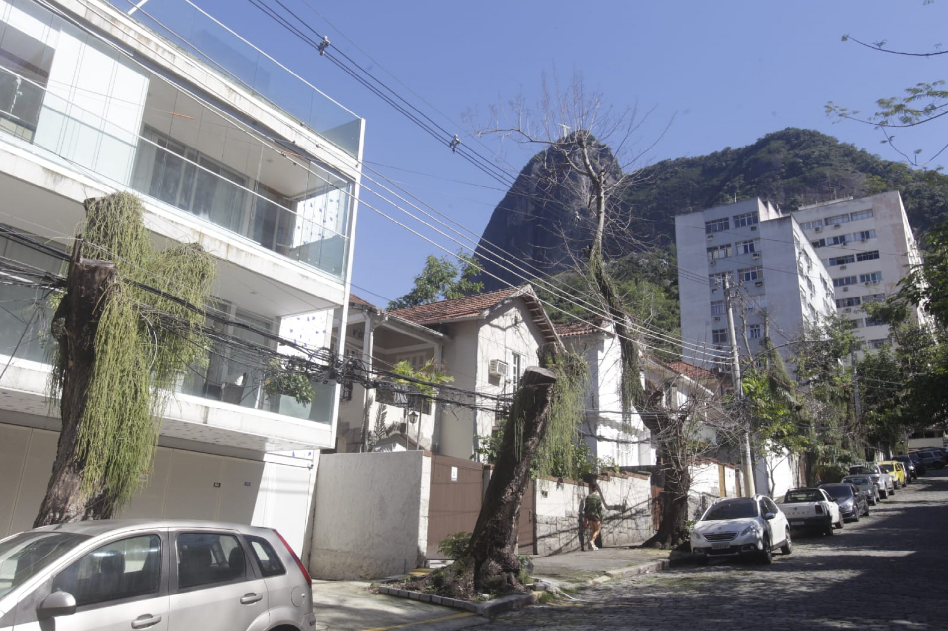 Rua perdeu parte da vegetação que marcava sua paisagem - Reginaldo Pimenta / Agência O DIA
